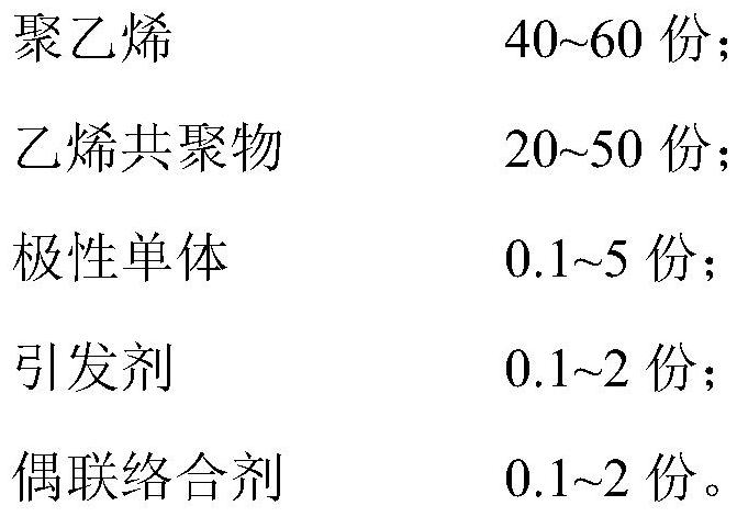 Compatible adhesive resin for PE and PA and preparation method of compatible adhesive resin