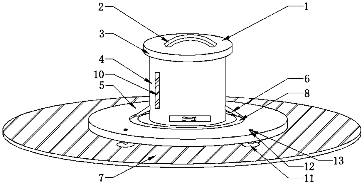 Chick and duck breeding feeder easy to disassemble and clean