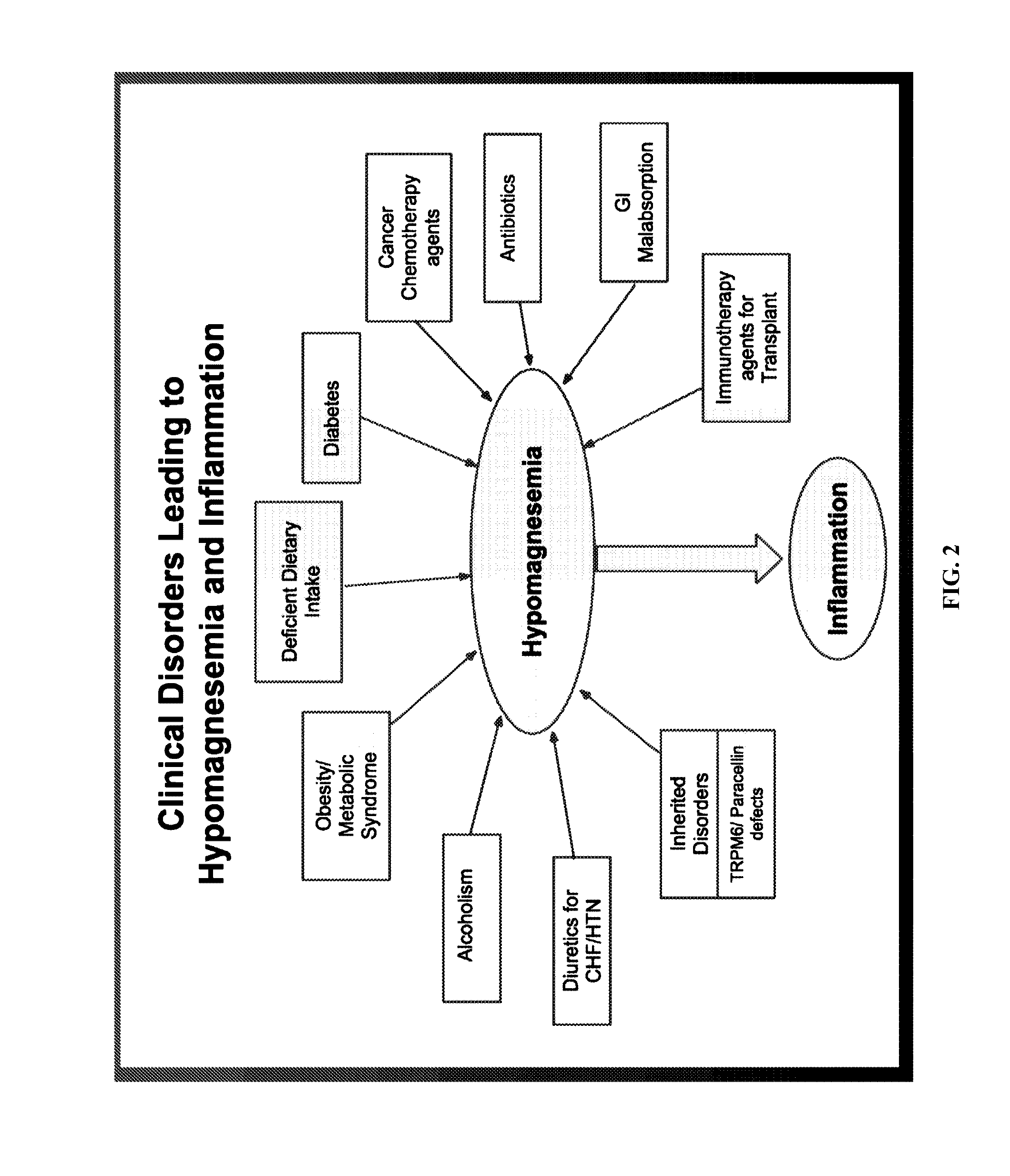 Use of NK-1 receptor antagonists for treating hypomagnesemia, neurogenic inflammation, and cardiac dysfunction associated with EGFR-blocking drugs