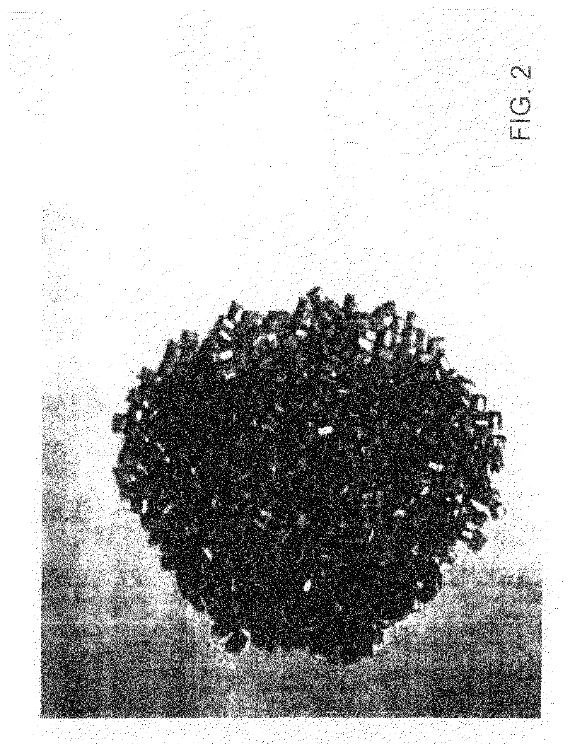 Manufacturing Method of Antimicrobial Fiber Using Nano Silver Powder