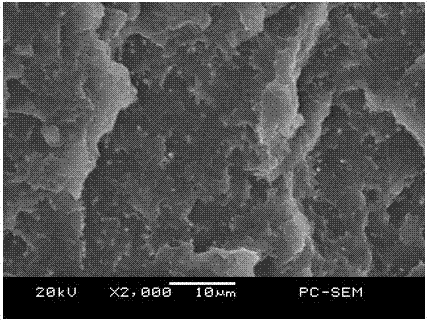 A kind of in-situ core-shell structure toughened polyoxymethylene and its preparation method