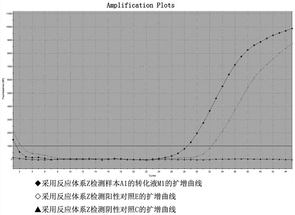 Primer probe system for MLH1 (MutL homolog1) gene methylation detection and kit adopting primer probe system