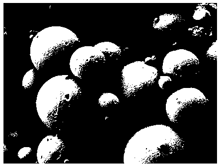 Encapsulated emamectin benzoate microspheres and preparation method thereof