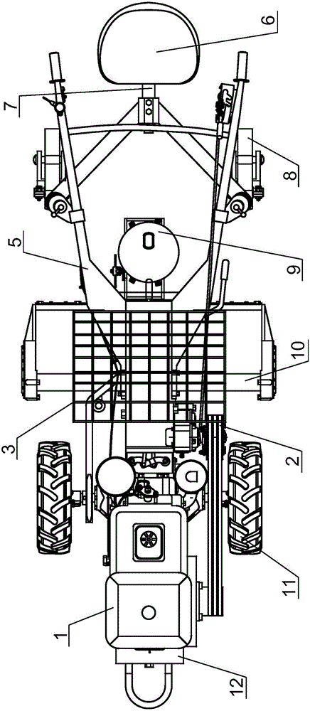 Mechanical operation equipment for miscanthus plants and control method thereof