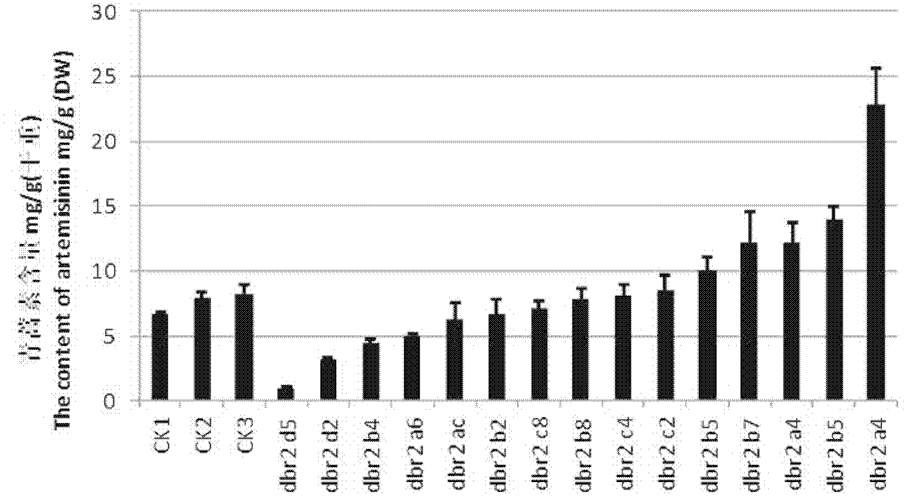 Method for increasing artemisinin content in sweet wormwood by DBR2 (double bond reductase 2) gene transfer