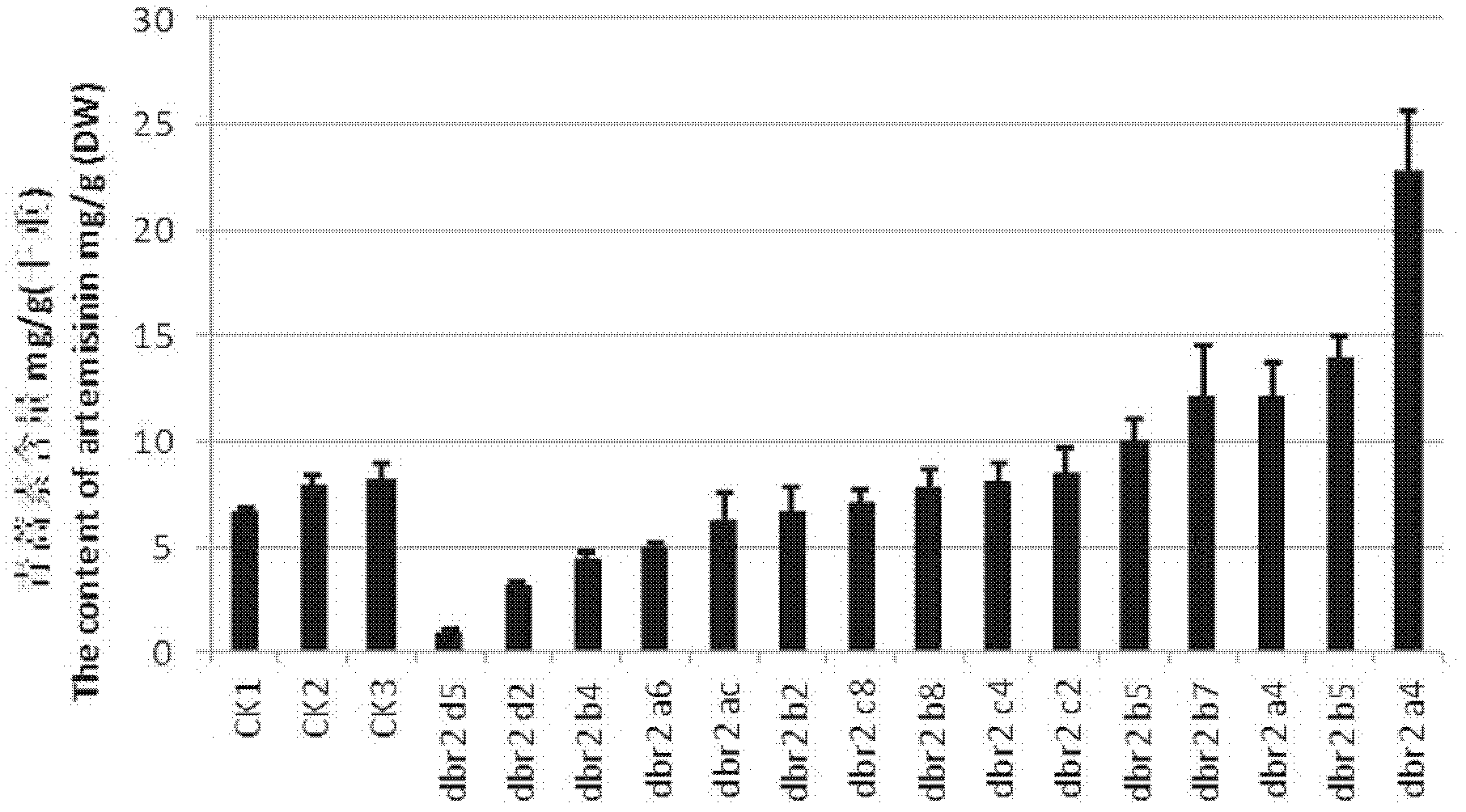 Method for increasing artemisinin content in sweet wormwood by DBR2 (double bond reductase 2) gene transfer