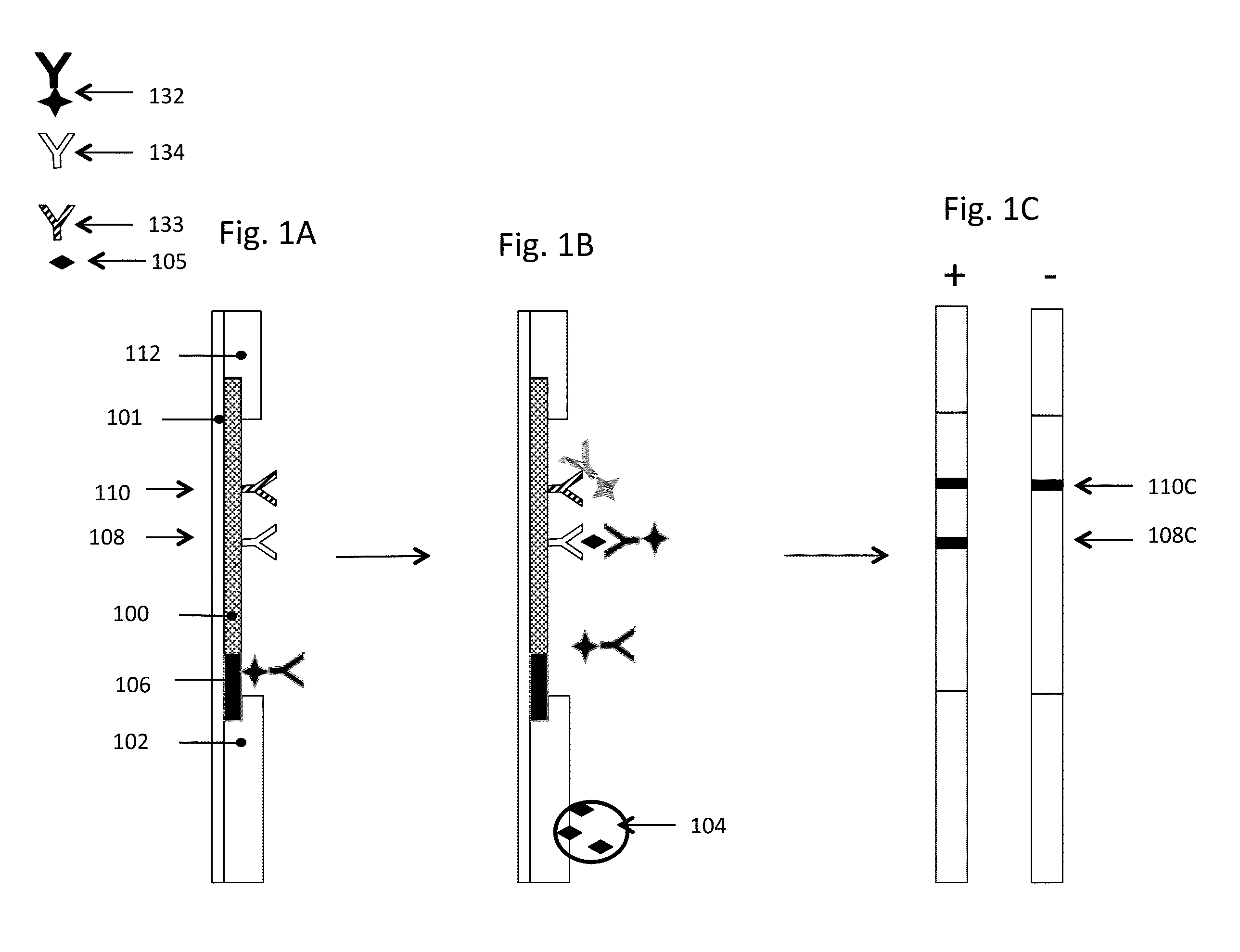 Improved Lateral Flow Assays