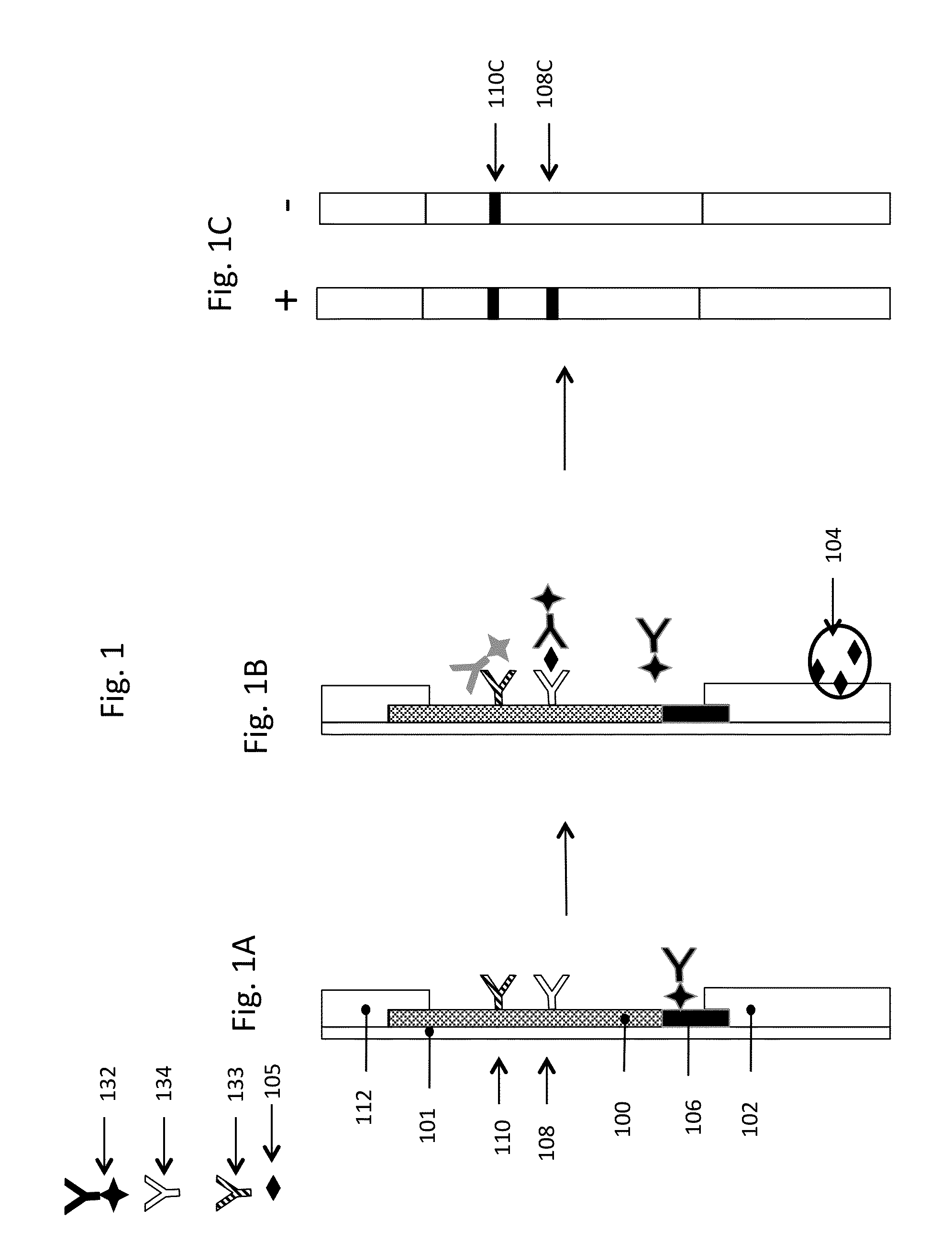 Improved Lateral Flow Assays