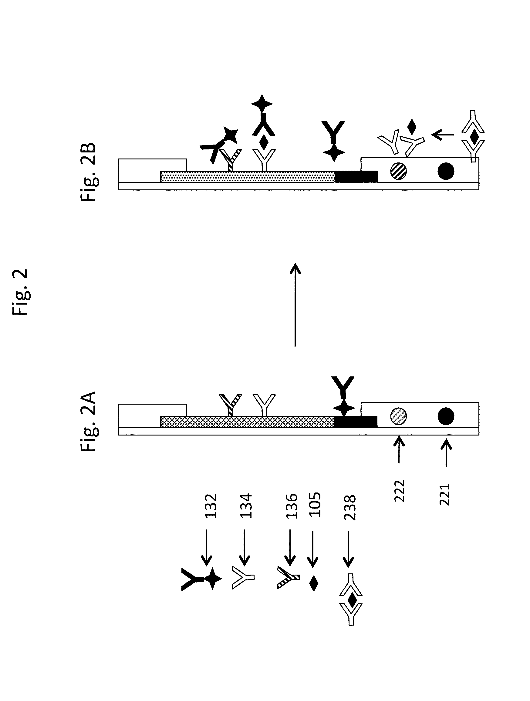 Improved Lateral Flow Assays