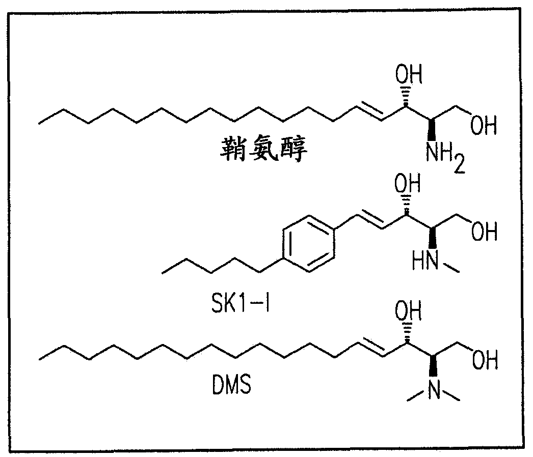 Novel sphingosine kinase type 1 inhibitors, compositions and processes for using same