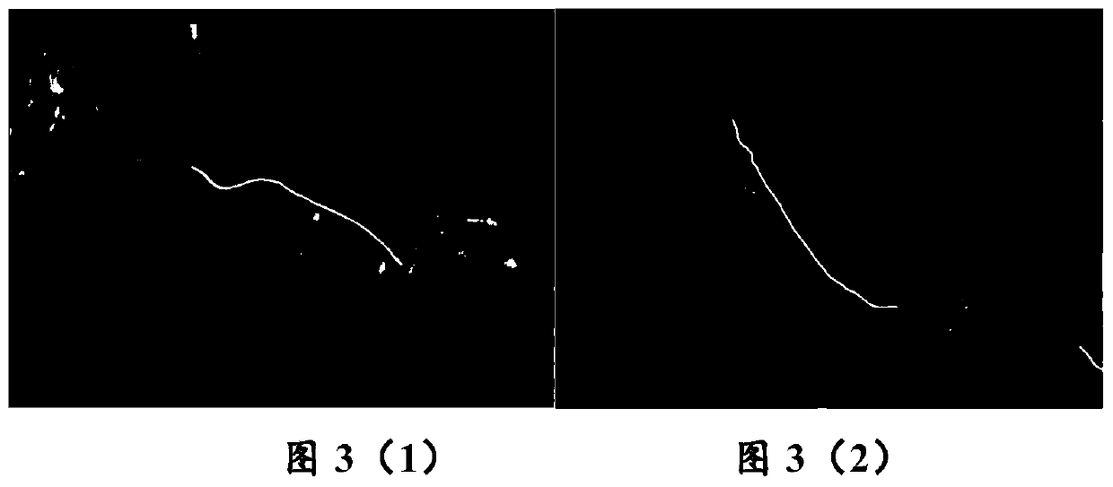 Coastline transition remote sensing monitoring and analyzing method and device