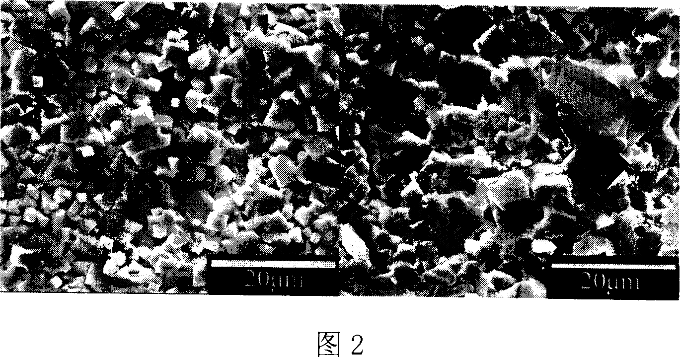 Tantalum substitutional sodium potassium niobate based piezoelectric ceramics without plumbum, and preparation method