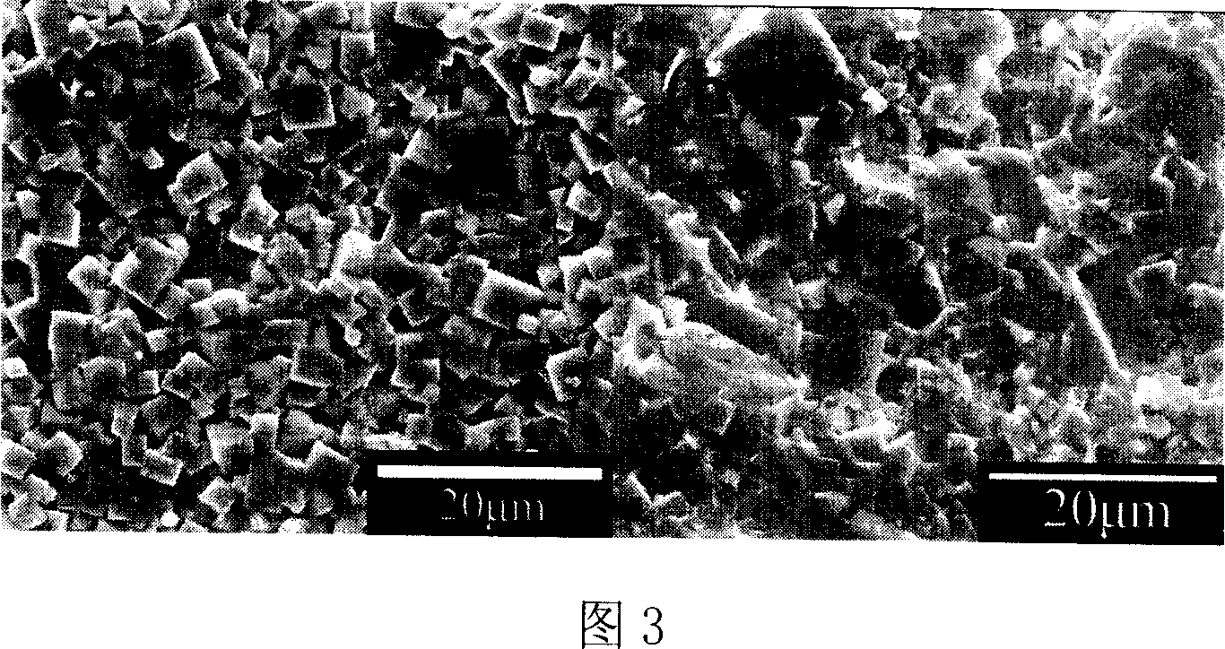 Tantalum substitutional sodium potassium niobate based piezoelectric ceramics without plumbum, and preparation method