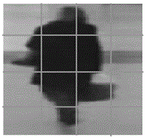 A Target Tracking Method Based on Posterior Template Dictionary Learning