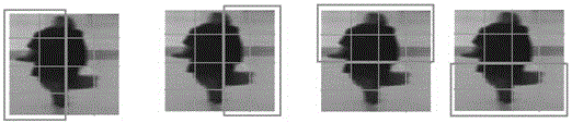 A Target Tracking Method Based on Posterior Template Dictionary Learning