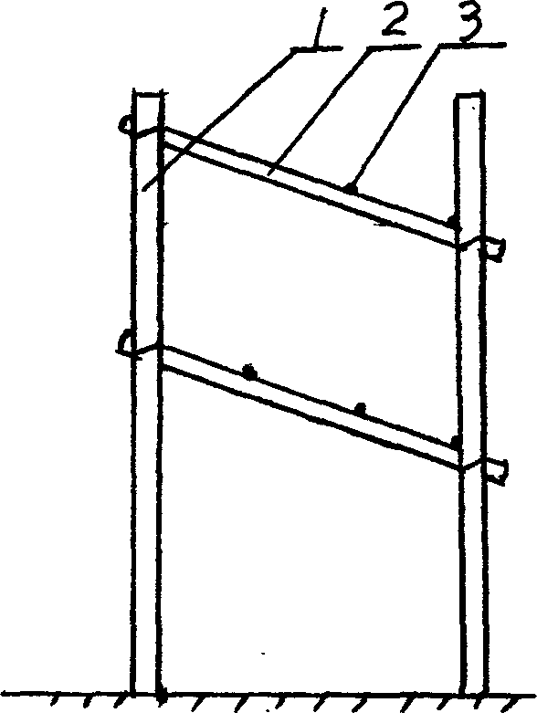 Double layer shelf for grape and culture method thereof