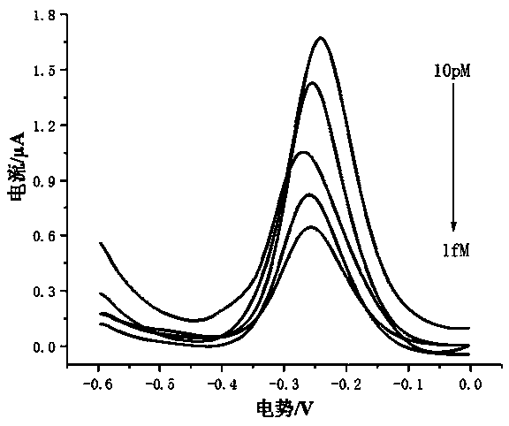 Preparation method of DNA self-assembled electrochemical biosensor using dsn enzyme and dnazyme