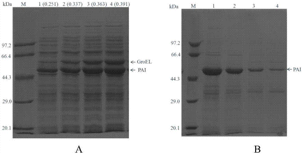 Method for obviously improving soluble expression quantity of linoleate isomerase in recombinant escherichia coli