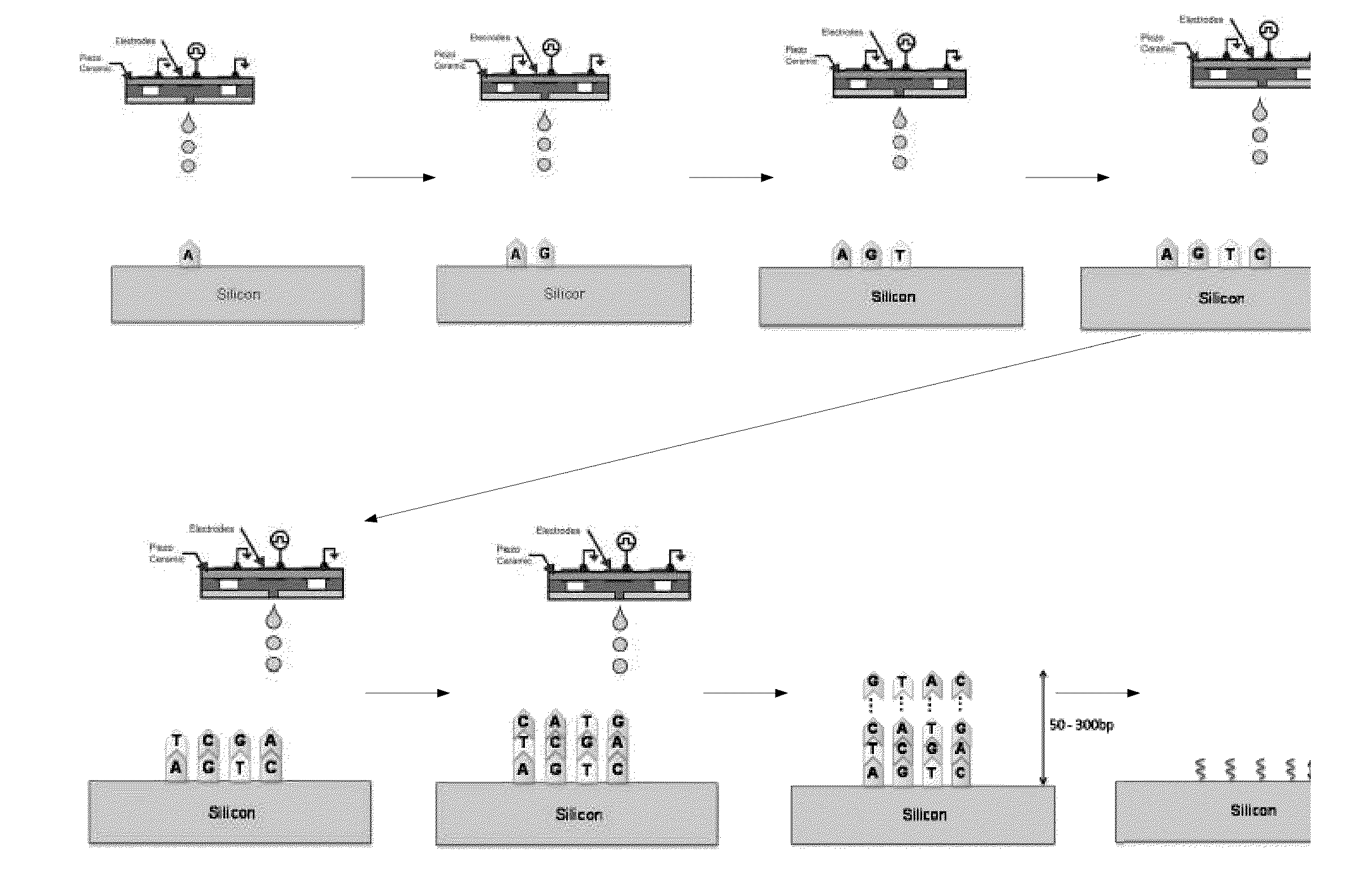 De novo synthesized gene libraries