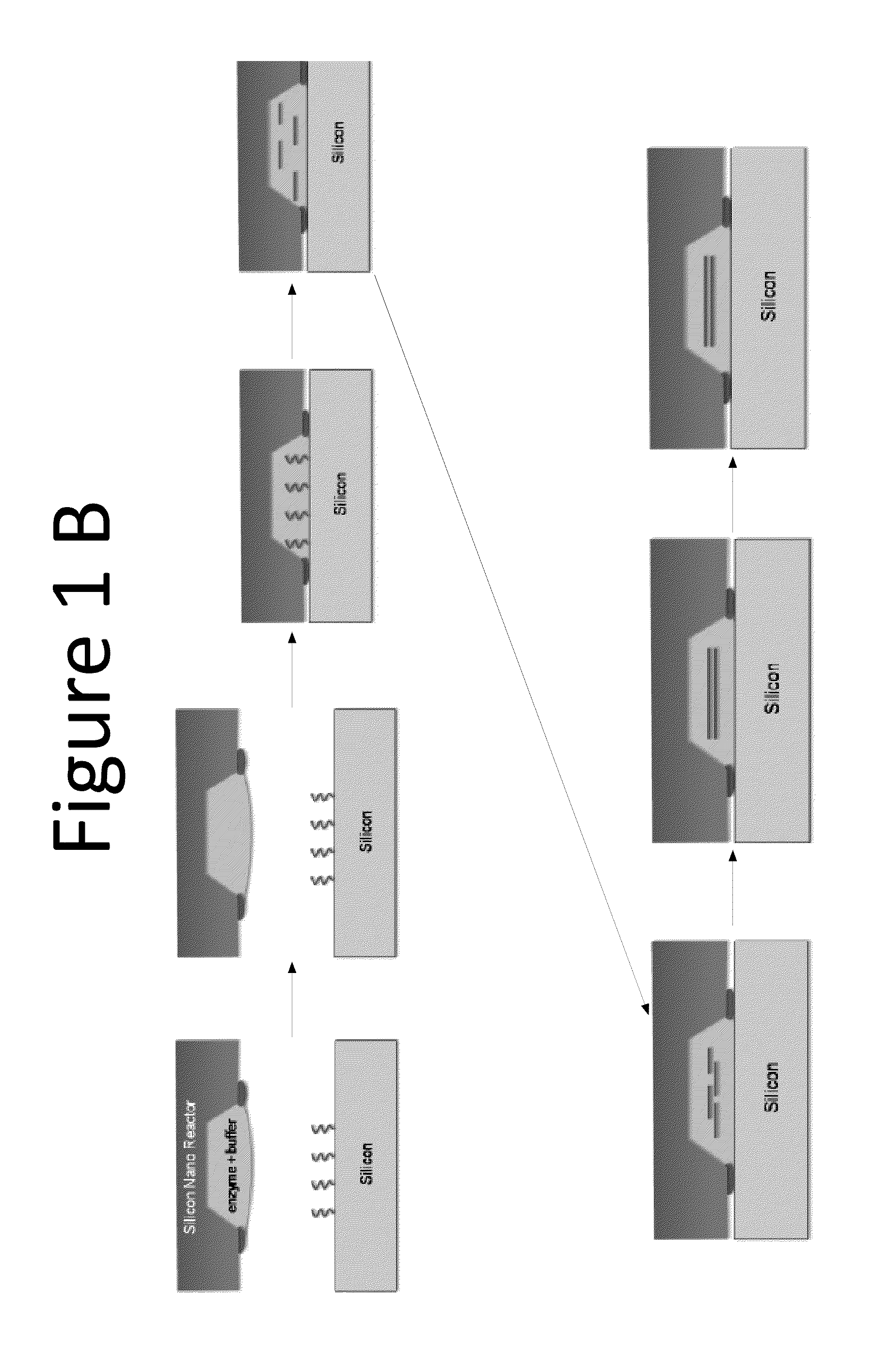 De novo synthesized gene libraries