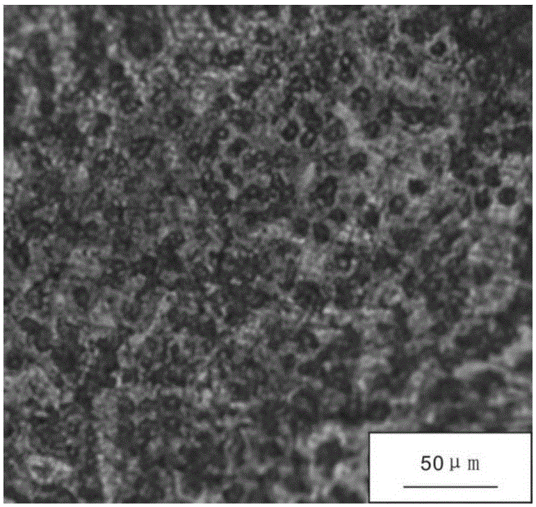 Novel elastic tin-phosphor bronze alloy and preparation method thereof