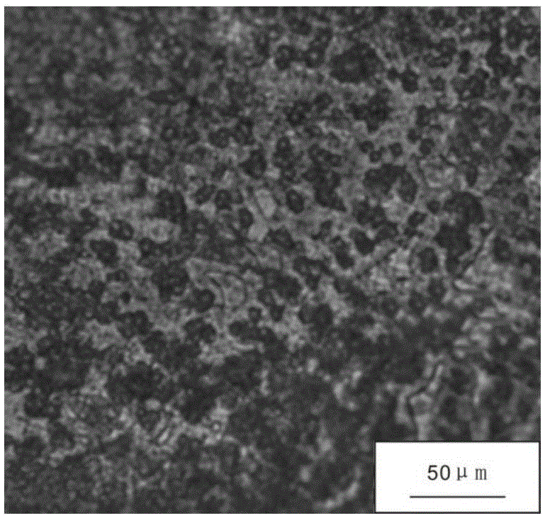 Novel elastic tin-phosphor bronze alloy and preparation method thereof