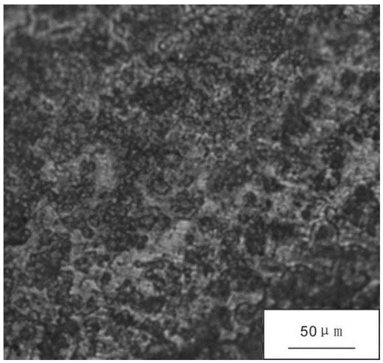 Novel elastic tin-phosphor bronze alloy and preparation method thereof