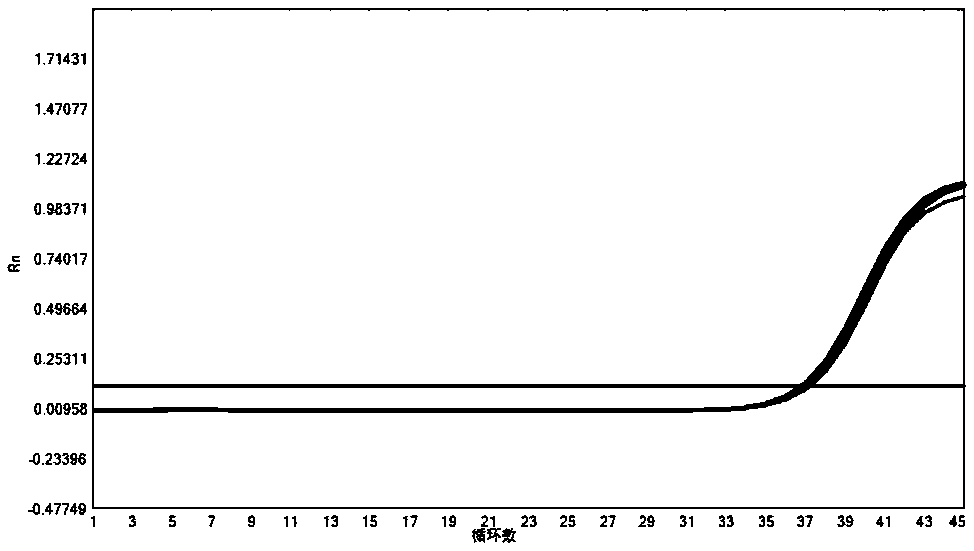 Multiple PCR detection kit for pathogens of respiratory tract, application and application method thereof