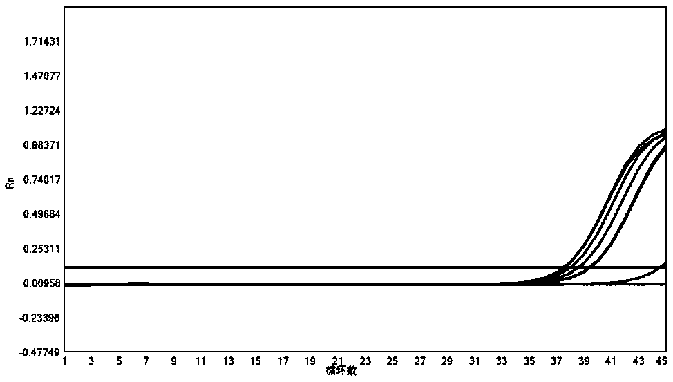 Multiple PCR detection kit for pathogens of respiratory tract, application and application method thereof