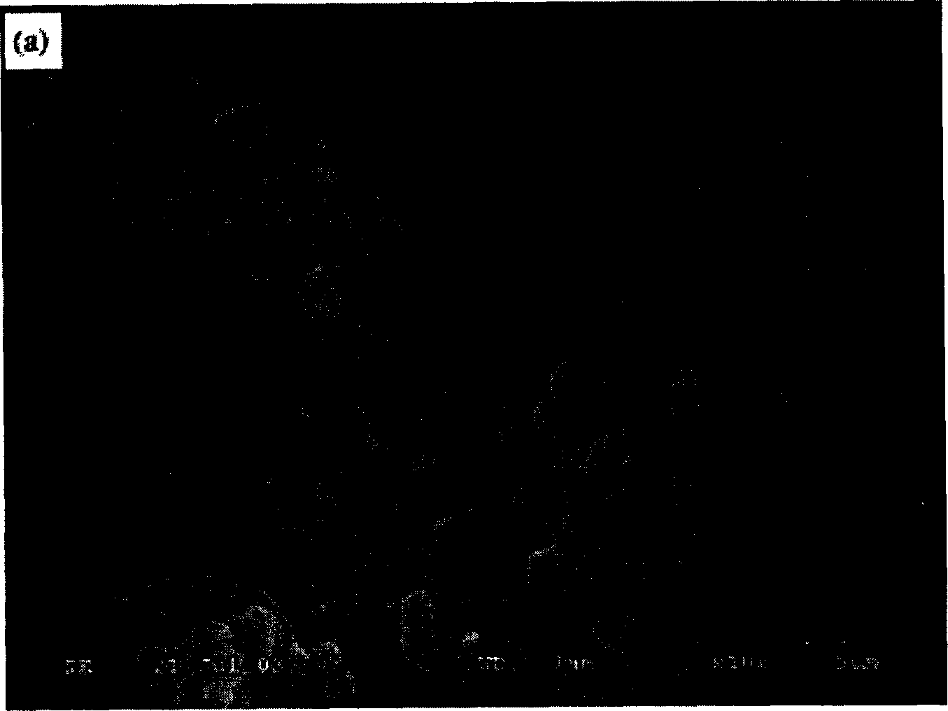 Anode material of lithium ion cell and preparation method thereof