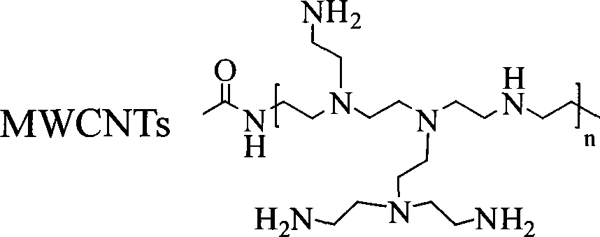 Polyethylene imine modified carbon nano-tube, its complexes, production method and uses thereof