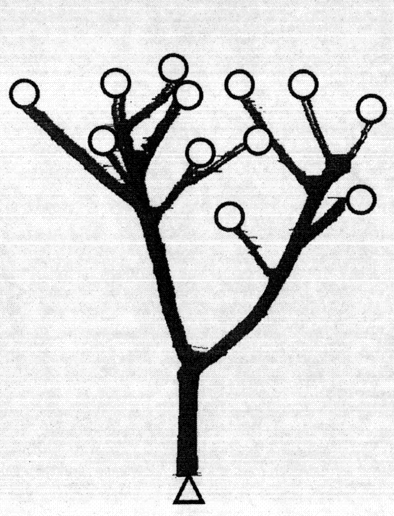 Three-dimensional framework fast extraction method based on branch feathers