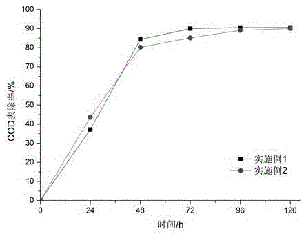 Method for processing and recycling soybean processing wastewater through photosynthetic bacteria