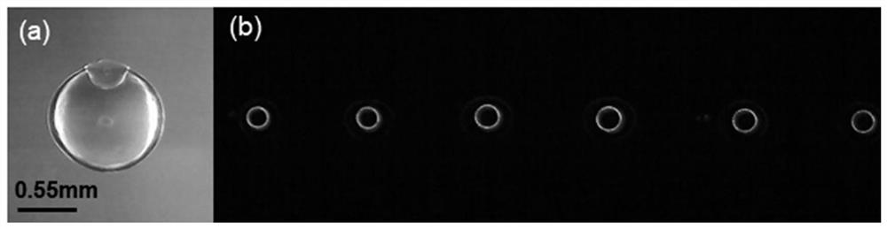 A janus droplet with structural color based on 3D droplet printing and its preparation method