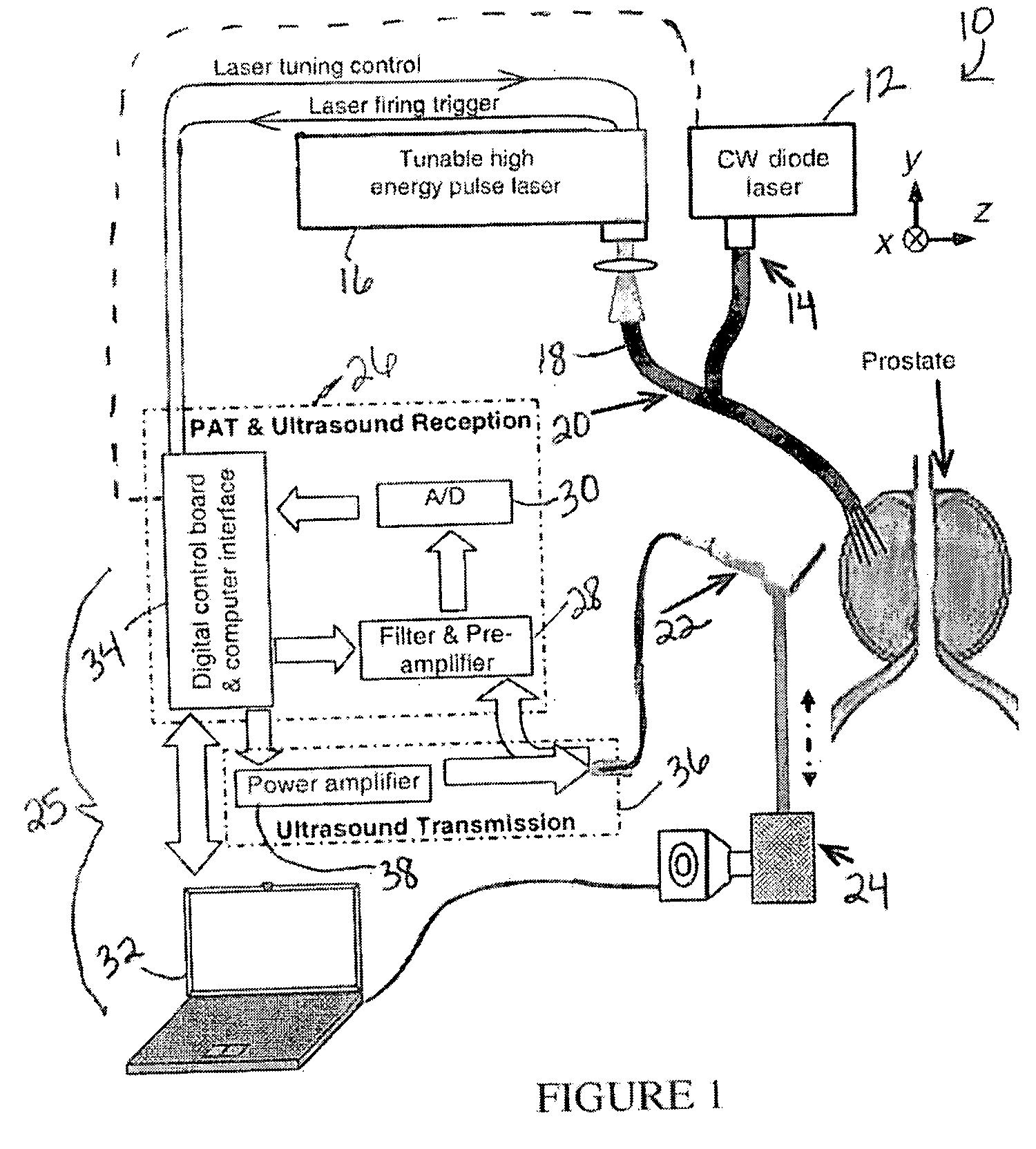 System and method for monitoring photodynamic therapy