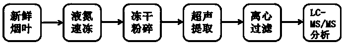 LC-MS/MS method for detecting IPP, GPP, FPP and GGPP in fresh tobacco leaf