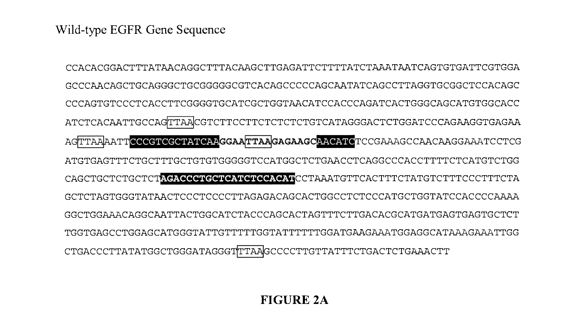 Nucleic acid detection combining amplification with fragmentation