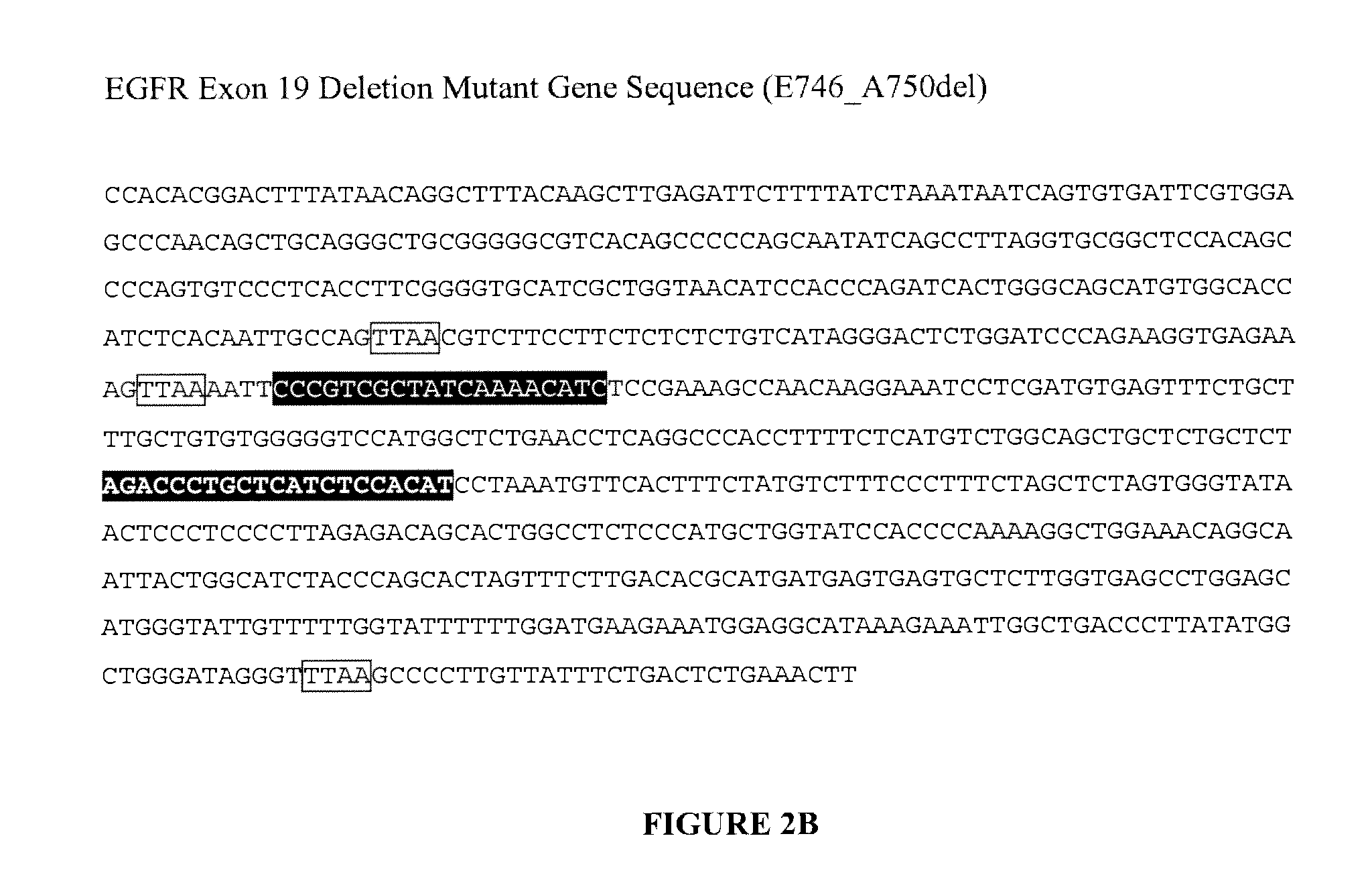 Nucleic acid detection combining amplification with fragmentation