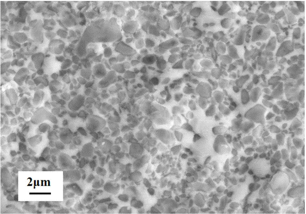 Metal ceramic alloy preparation method and product thereof