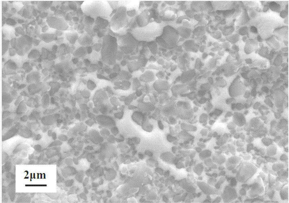 Metal ceramic alloy preparation method and product thereof