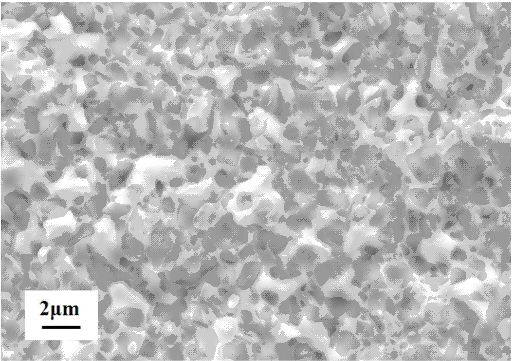 Metal ceramic alloy preparation method and product thereof