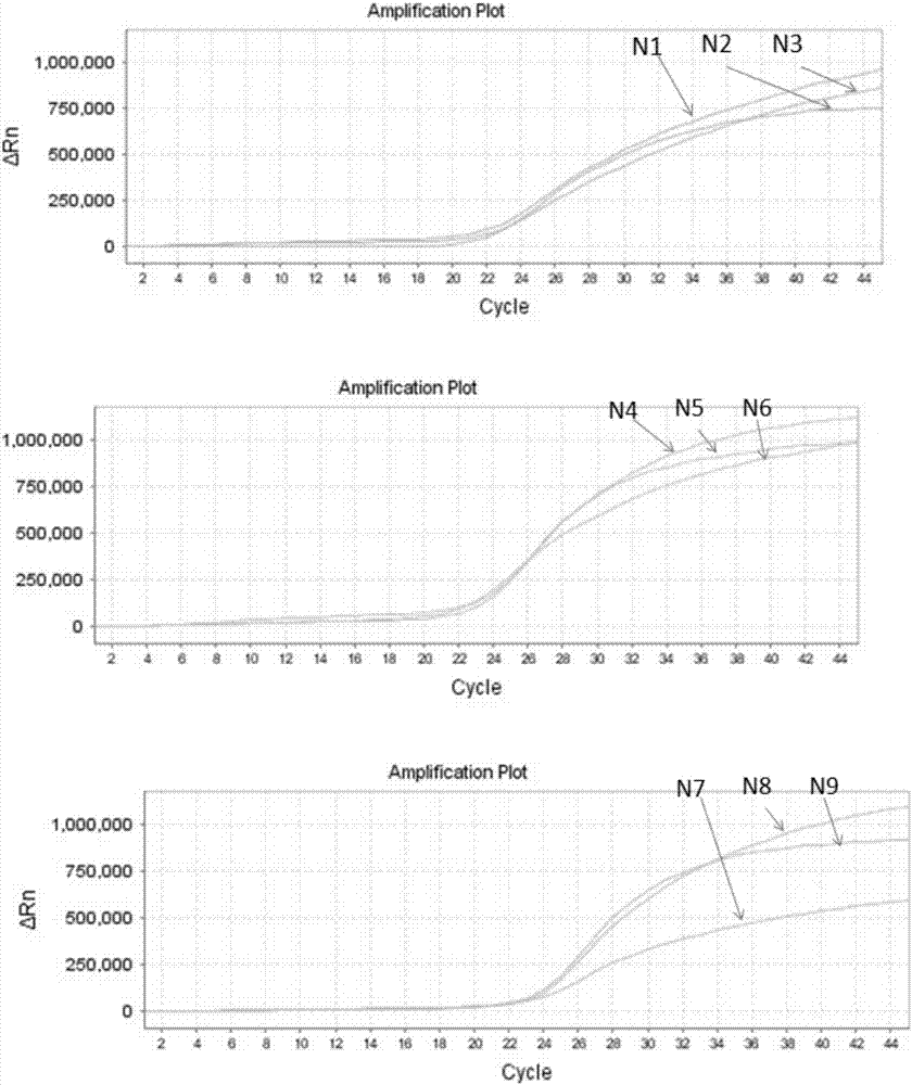 Multiplex fluorescence quantitative PCR detection kit for avian influnza virus N subtype genetic typing and application thereof