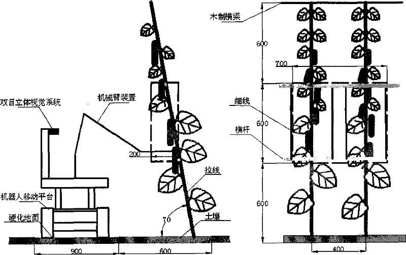 Cucumber picking robot system and picking method in greenhouse