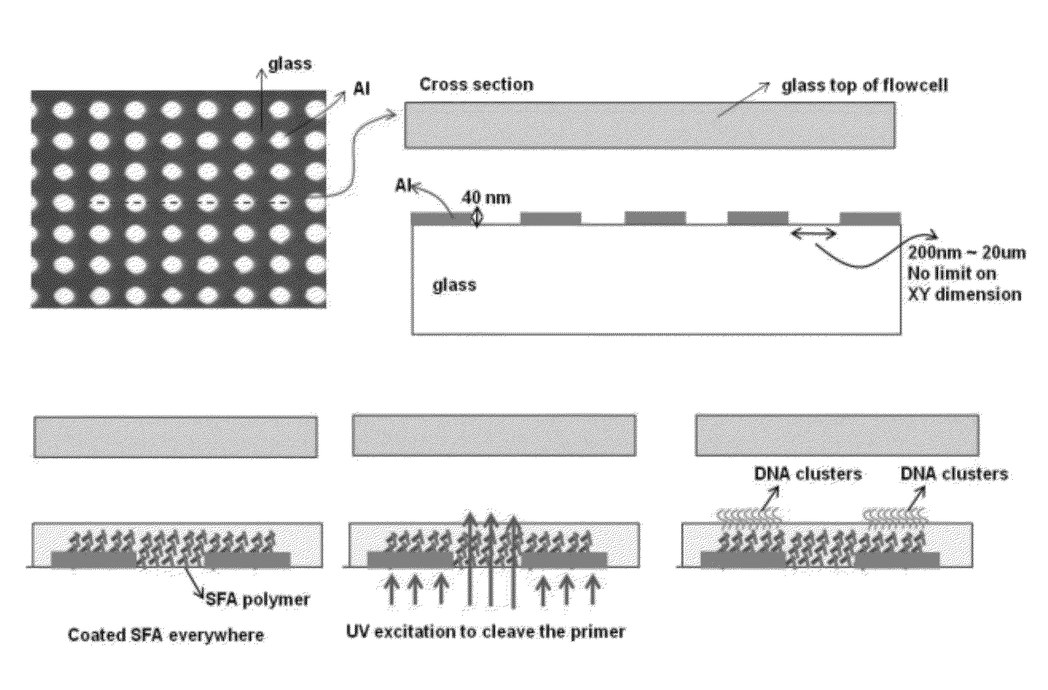 Patterned flow-cells useful for nucleic acid analysis