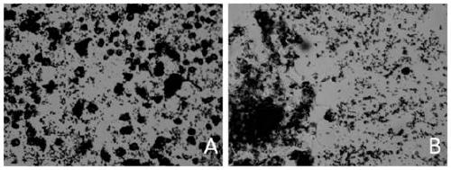 Method for preparing macrophage by iPS cell differentiation