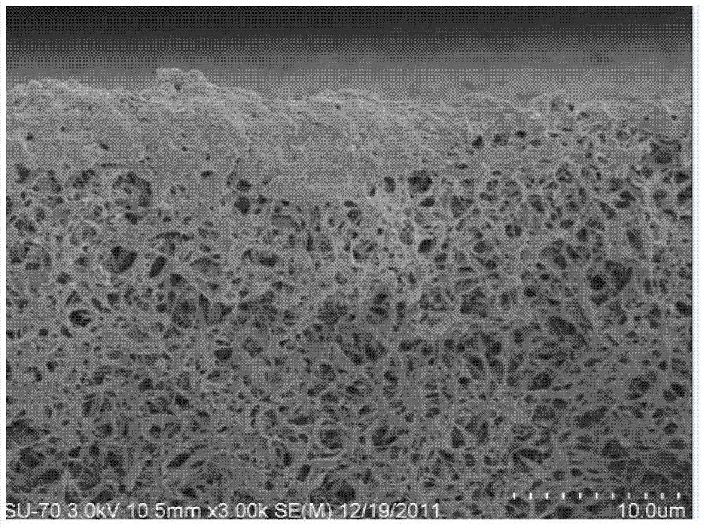 Method for preparing polyvinylidene fluoride alloy film