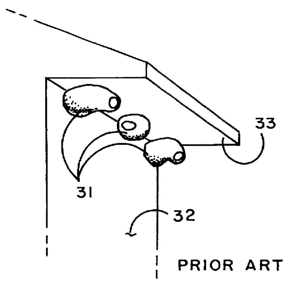 Multiple nesting structure for cliff swallows