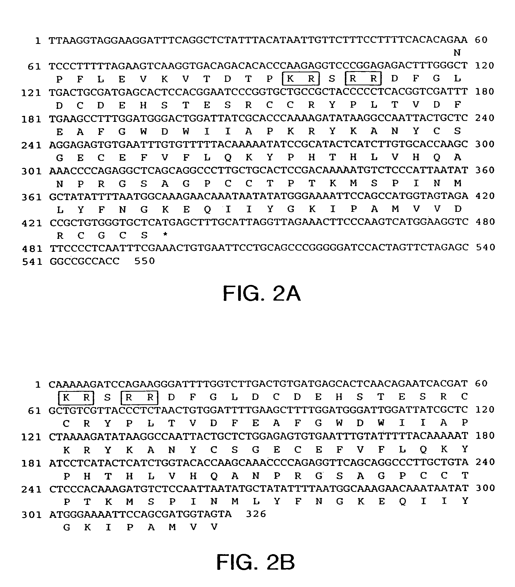 Growth differentiation factor-8 nucleic acid and polypeptide from aquatic species, and transgenic aquatic species