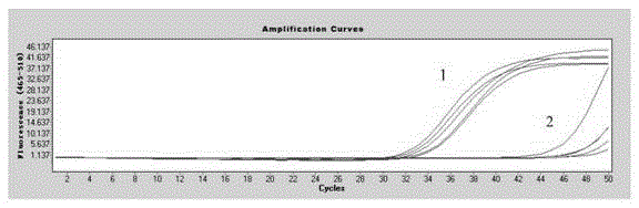 A composition for detecting intestinal cancer hotspot gene mutation sites and its application method