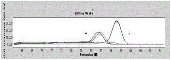 A composition for detecting intestinal cancer hotspot gene mutation sites and its application method